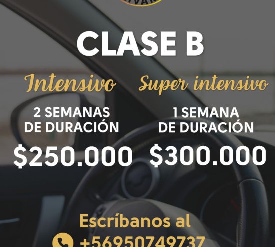 Curso Clase B Teórico Práctico Online Intensivo