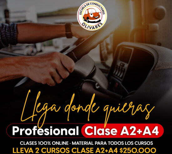 Curso Profesional Clase A2 + A4