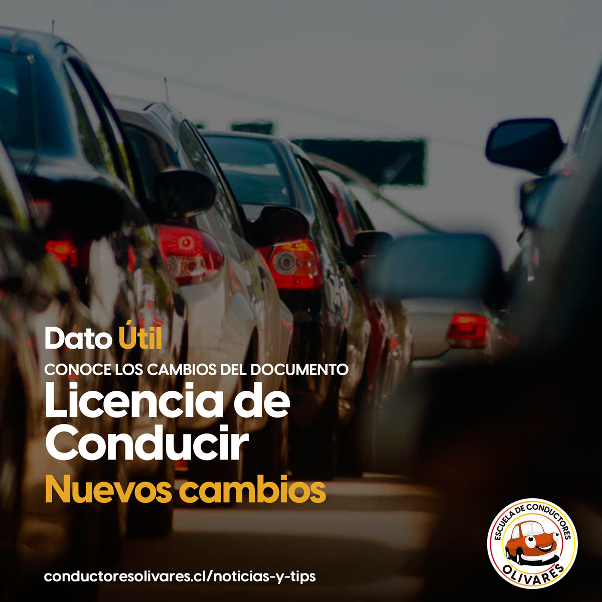 Datos útil marzo Nueva Licencia
