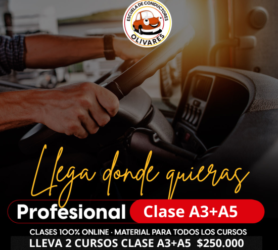 Curso Profesional Clase A3 + A5